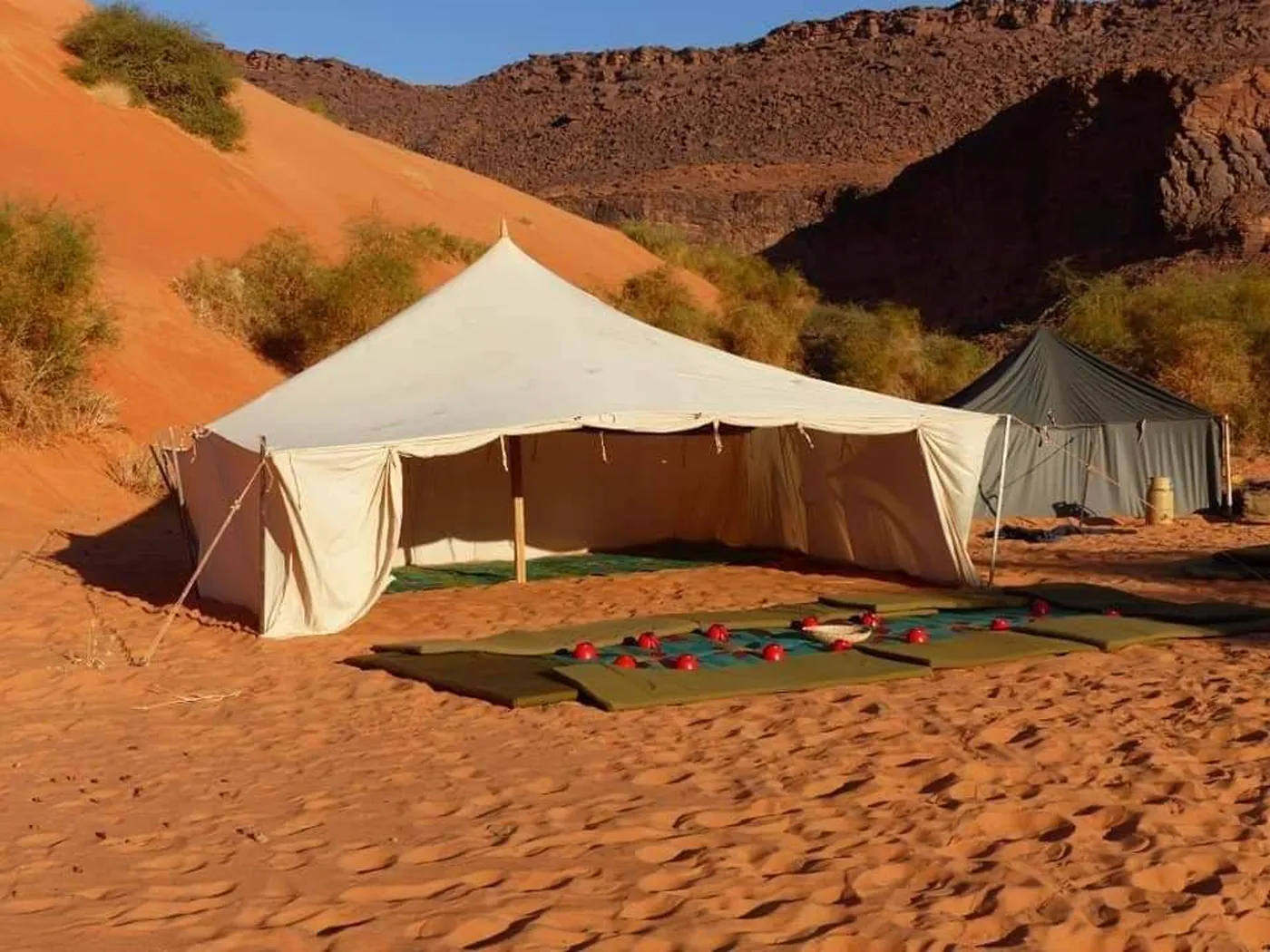 Campement nomade dans le désert